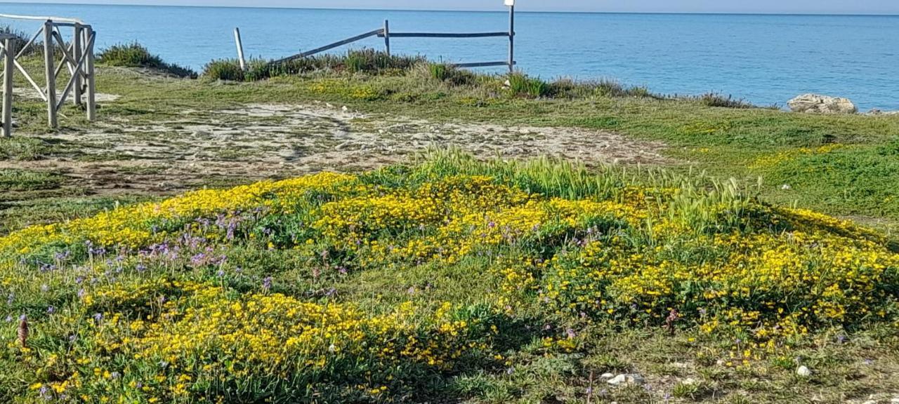 Villino Il Melograno Torre Specchia Ruggeri Exterior foto